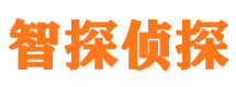 南充外遇出轨调查取证